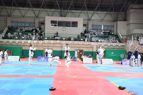 지난 18일 안산와동체육관에서 열린 '시장배 태권도대회'에서 격파, 품새, 겨루기 등 다채로운 대회를 열었다. 안산시태권도시범단이 격파, 등 다채로운 시범을 선보이고 있다.