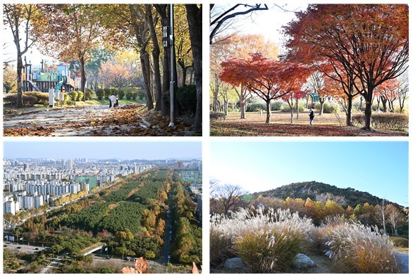 옥구공원 11월 단풍 절정 [사진=시흥시]