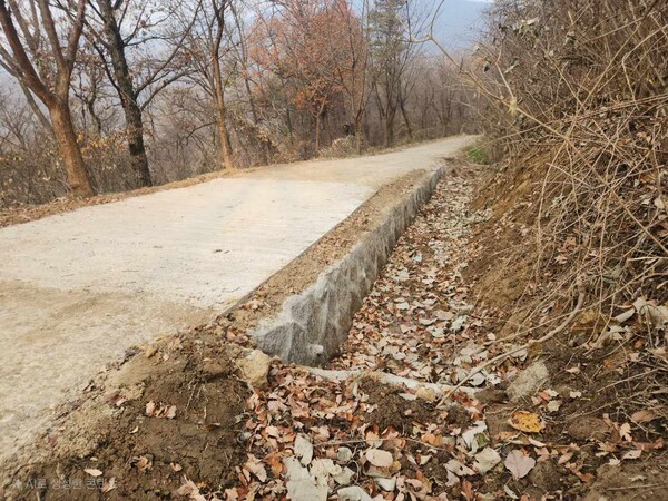  모현읍 왕산리 태교숲길 정비 완료 후 전경(사진=용인특례시)