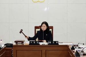 정보현 연수구의회 의원, 관행적 행정 구조 개선과 축제 운영 전환 필요 강조