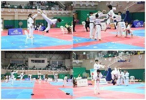 [포토] 격파부터 품새까지... 관중 박수 쏟아진 안산시태권도시범단