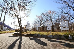 [포토] 시흥시,가을빛으로 물든 옥구공원 단풍 절정